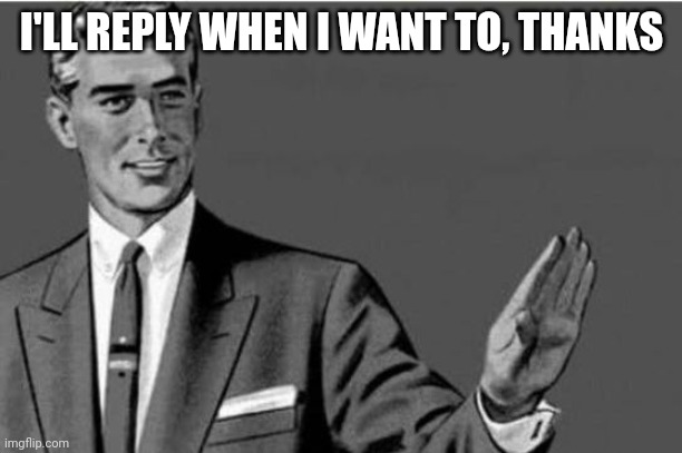 No thanks | I'LL REPLY WHEN I WANT TO, THANKS | image tagged in no thanks | made w/ Imgflip meme maker