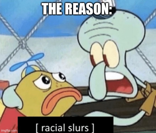 racial slurs | THE REASON: | image tagged in racial slurs | made w/ Imgflip meme maker