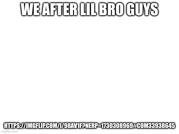 get em | WE AFTER LIL BRO GUYS; HTTPS://IMGFLIP.COM/I/98AV1F?NERP=1730308969#COM33938645 | made w/ Imgflip meme maker