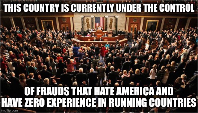 Congress | THIS COUNTRY IS CURRENTLY UNDER THE CONTROL; OF FRAUDS THAT HATE AMERICA AND HAVE ZERO EXPERIENCE IN RUNNING COUNTRIES | image tagged in congress | made w/ Imgflip meme maker