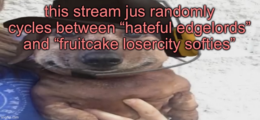 chucklenuts | this stream jus randomly cycles between “hateful edgelords” and “fruitcake losercity softies” | image tagged in chucklenuts | made w/ Imgflip meme maker