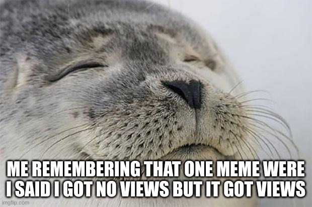 It's not funny | ME REMEMBERING THAT ONE MEME WERE I SAID I GOT NO VIEWS BUT IT GOT VIEWS | image tagged in memes,satisfied seal | made w/ Imgflip meme maker