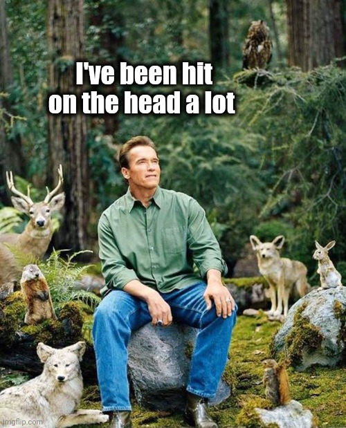 Arnold Schwarzenegger | I've been hit on the head a lot | image tagged in arnold schwarzenegger | made w/ Imgflip meme maker