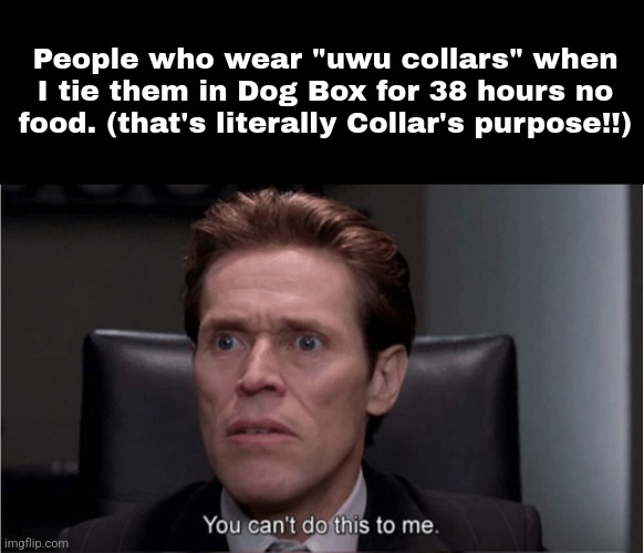 You can't do this to me | People who wear "uwu collars" when I tie them in Dog Box for 38 hours no food. (that's literally Collar's purpose!!) | image tagged in you can't do this to me | made w/ Imgflip meme maker