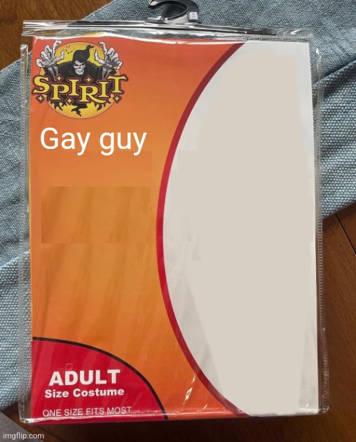 Spirit Halloween | Gay guy | image tagged in spirit halloween | made w/ Imgflip meme maker