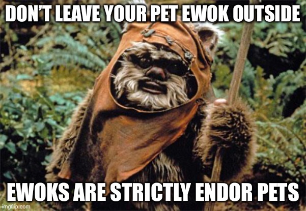 Ewoks | DON’T LEAVE YOUR PET EWOK OUTSIDE; EWOKS ARE STRICTLY ENDOR PETS | image tagged in ewok,endor,starwars | made w/ Imgflip meme maker