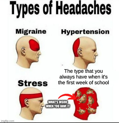 The headache chart | The type that you always have when it's the first week of school; WHAT'S INSIDE WHEN YOU HAVE IT | image tagged in types of headaches meme | made w/ Imgflip meme maker