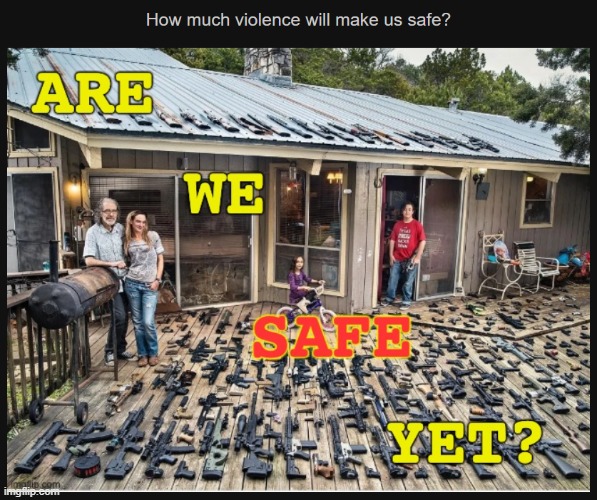 "Owning guns is violence!" | image tagged in gun control | made w/ Imgflip meme maker