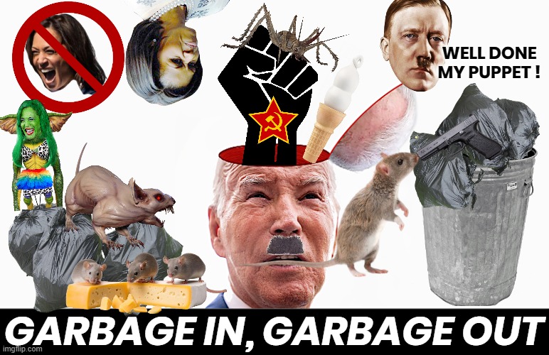 GIGO - mostly GO? | WELL DONE
MY PUPPET ! GARBAGE IN, GARBAGE OUT | image tagged in garbage,biden,kamala harris,coup,hitler,michelle obama | made w/ Imgflip meme maker