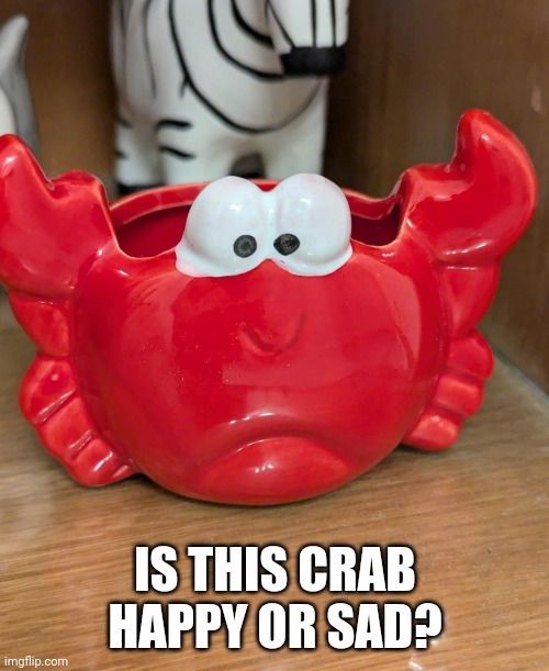 IS THIS CRAB HAPPY OR SAD? | image tagged in crab,happy,sad | made w/ Imgflip meme maker