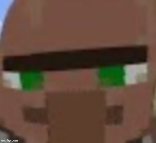 Villager Ball | image tagged in villager ball | made w/ Imgflip meme maker