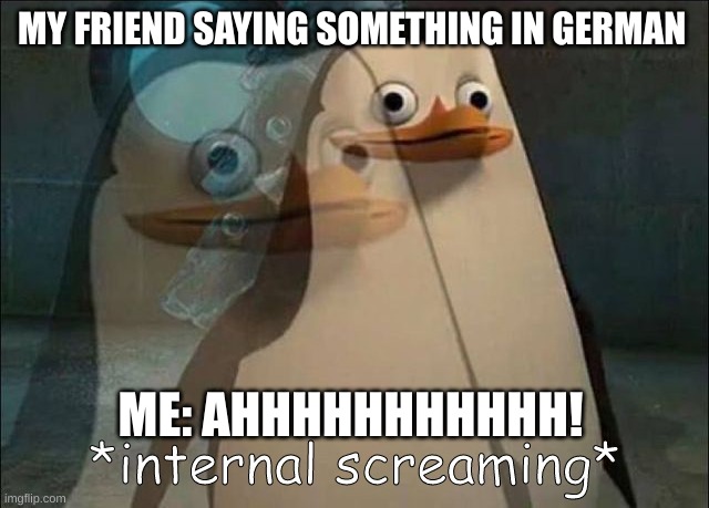 WUT ARE YOU SAYING!!!! | MY FRIEND SAYING SOMETHING IN GERMAN; ME: AHHHHHHHHHHH! | image tagged in private internal screaming,help me | made w/ Imgflip meme maker