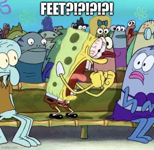 Spongebob Yelling | FEET?!?!?!?! | image tagged in spongebob yelling | made w/ Imgflip meme maker