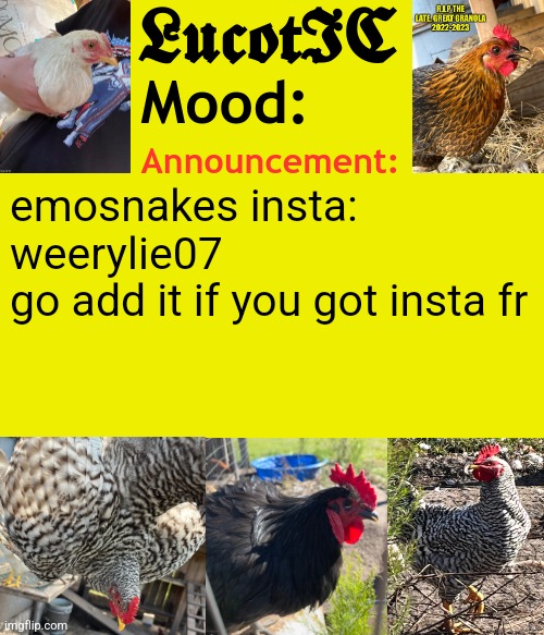 LucotIC's Cocks announcement template | emosnakes insta: weerylie07
go add it if you got insta fr | image tagged in lucotic's cocks announcement template | made w/ Imgflip meme maker