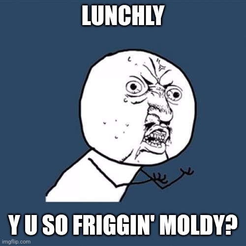 Moldy Lunchly | LUNCHLY; Y U SO FRIGGIN' MOLDY? | image tagged in y u no,classic memes,lunchly,relatable memes,relatable,lol so funny | made w/ Imgflip meme maker