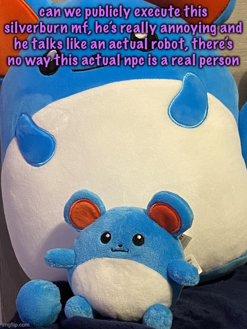 the dynamic Bhillip duo | can we publicly execute this silverburn mf, he’s really annoying and he talks like an actual robot, there’s no way this actual npc is a real person | image tagged in the dynamic bhillip duo | made w/ Imgflip meme maker