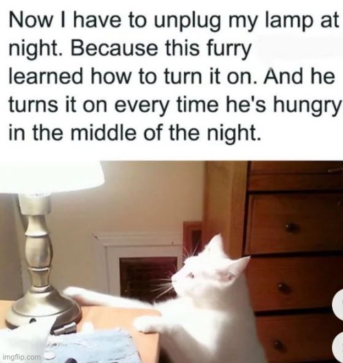 why did you unplug it | made w/ Imgflip meme maker