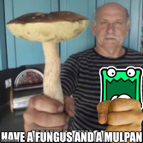 RANDOM MEME. (mod note: ok) | image tagged in have a fungus and a mulpan,random,random tag i decided to put,random tag,another random tag i decided to put,a random meme | made w/ Imgflip meme maker