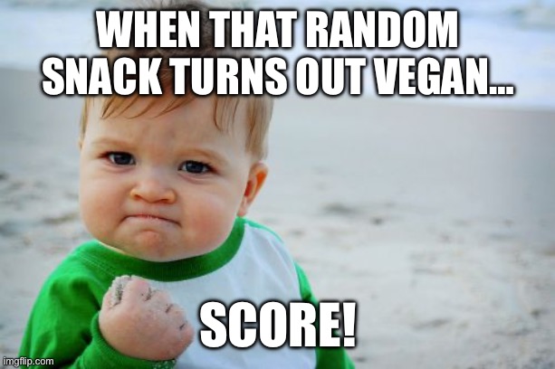 Vegan Scoree! | WHEN THAT RANDOM SNACK TURNS OUT VEGAN…; SCORE! | image tagged in memes,success kid original,vegan | made w/ Imgflip meme maker