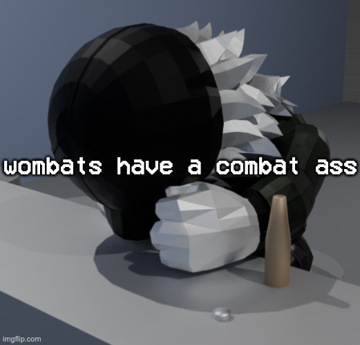 their asses are made out of thick cartilige which most of their predators dont have the ability to bite or scratch | wombats have a combat ass | image tagged in template | made w/ Imgflip meme maker