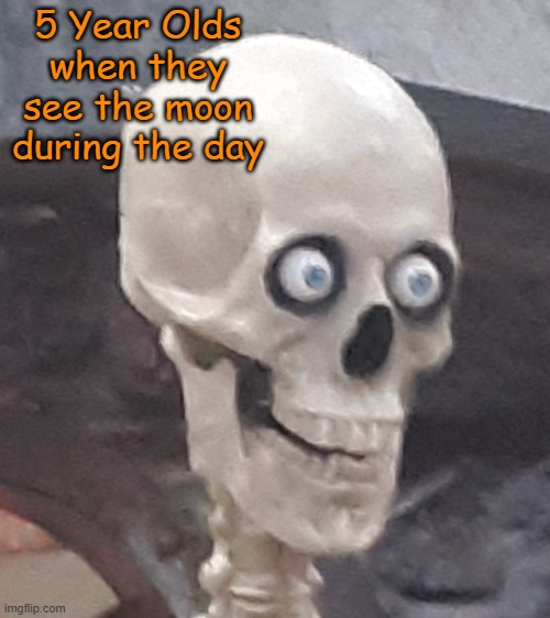 THE END IS NEAR!!  (Almost Halloween | 5 Year Olds when they see the moon during the day | image tagged in traumatized skeleton | made w/ Imgflip meme maker