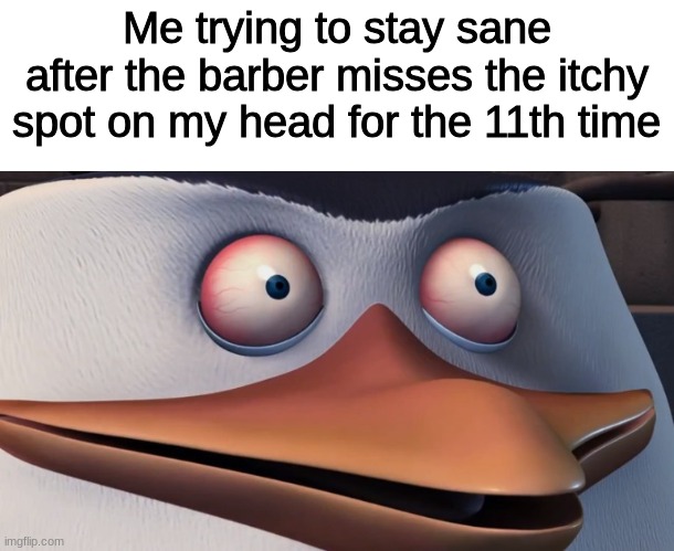 real | Me trying to stay sane after the barber misses the itchy spot on my head for the 11th time | image tagged in penguins of madagascar skipper red eyes | made w/ Imgflip meme maker