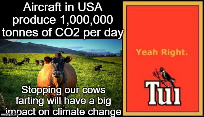 Cows | Aircraft in USA produce 1,000,000 tonnes of CO2 per day; Stopping our cows farting will have a big impact on climate change | image tagged in tui | made w/ Imgflip meme maker