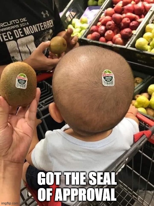 Sealed | GOT THE SEAL OF APPROVAL | image tagged in funny,memes | made w/ Imgflip meme maker