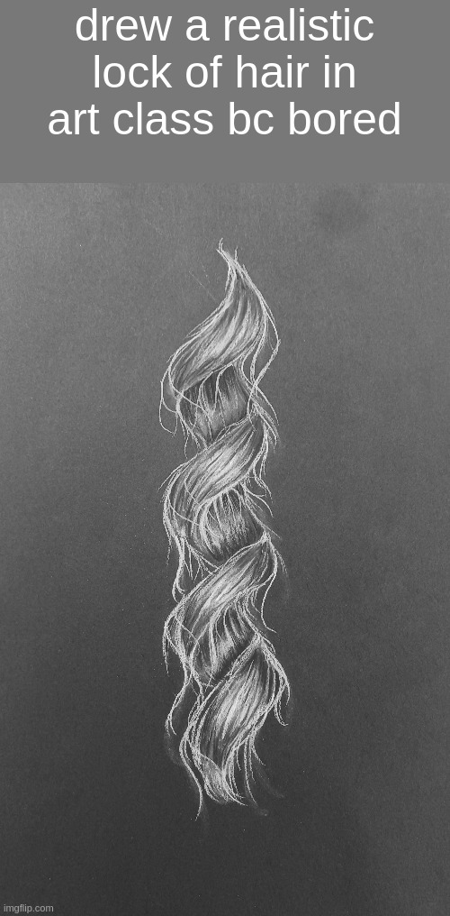 drew a realistic lock of hair in art class bc bored | made w/ Imgflip meme maker