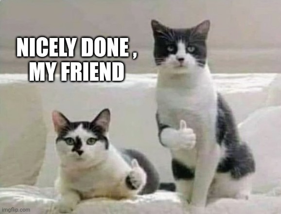 Thumbs up Cats | NICELY DONE ,
MY FRIEND | image tagged in thumbs up cats | made w/ Imgflip meme maker