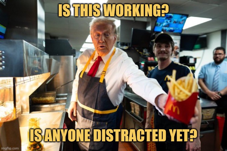 You're Fired [TM] | IS THIS WORKING? IS ANYONE DISTRACTED YET? | image tagged in you want lies with that,trump,mcdonald's,picture punches,memes,election 2024 | made w/ Imgflip meme maker