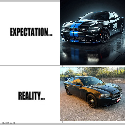 Expectation vs Reality | image tagged in expectation vs reality | made w/ Imgflip meme maker