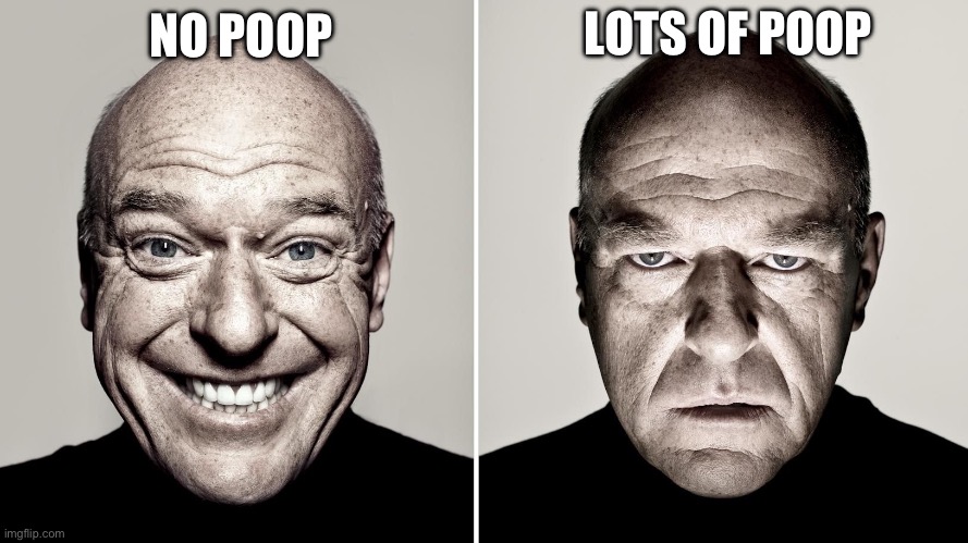 Dean Norris's reaction | NO POOP LOTS OF POOP | image tagged in dean norris's reaction | made w/ Imgflip meme maker