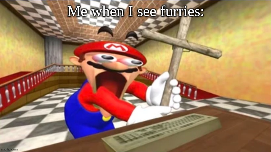 Furries be gone! | Me when I see furries: | image tagged in smg4 mario holding out cross | made w/ Imgflip meme maker