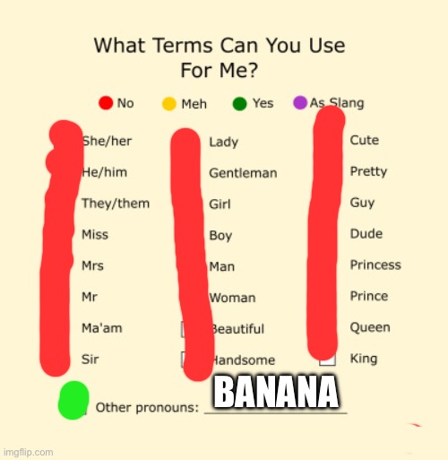 Pronouns Sheet | BANANA | image tagged in pronouns sheet | made w/ Imgflip meme maker