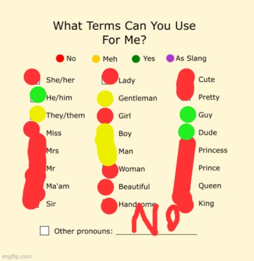 Pronouns Sheet | image tagged in pronouns sheet | made w/ Imgflip meme maker