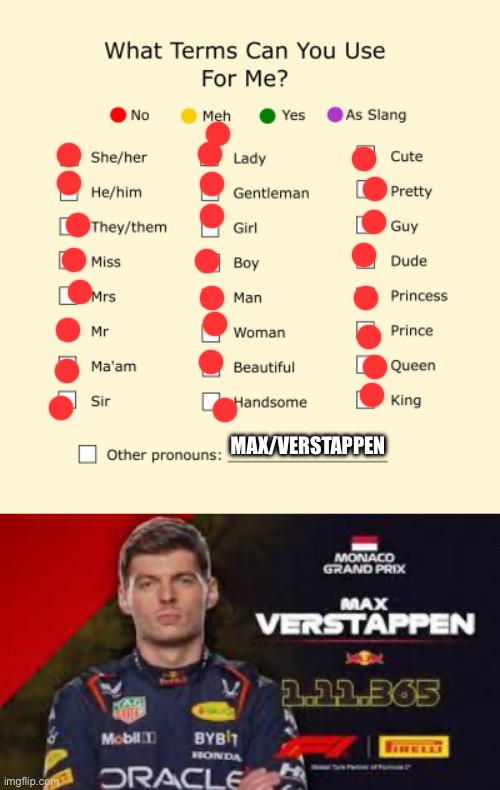 MAX/VERSTAPPEN | image tagged in pronouns sheet,max verstappen | made w/ Imgflip meme maker