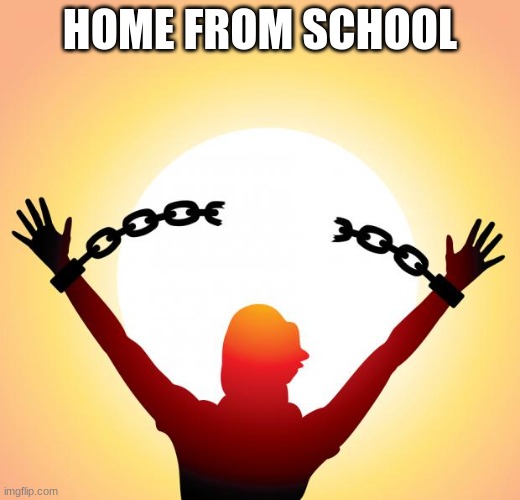 freedom | HOME FROM SCHOOL | image tagged in freedom | made w/ Imgflip meme maker