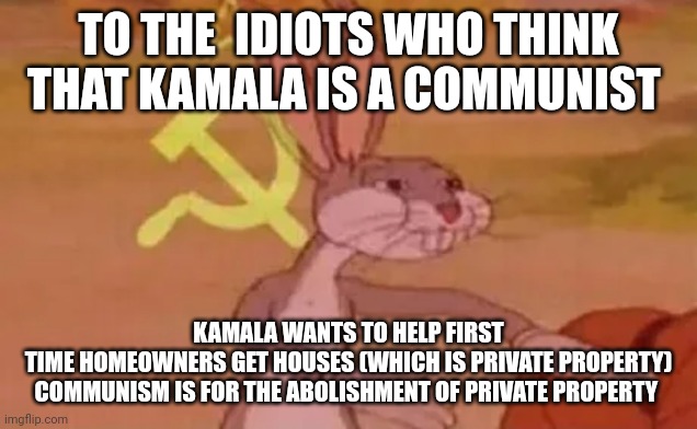 Just a little education not meant to be political | TO THE  IDIOTS WHO THINK THAT KAMALA IS A COMMUNIST; KAMALA WANTS TO HELP FIRST TIME HOMEOWNERS GET HOUSES (WHICH IS PRIVATE PROPERTY)

COMMUNISM IS FOR THE ABOLISHMENT OF PRIVATE PROPERTY | image tagged in bugs bunny communist | made w/ Imgflip meme maker