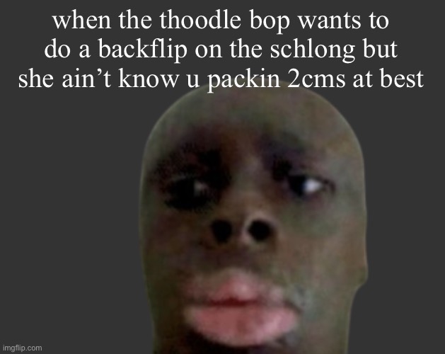 K K | when the thoodle bop wants to do a backflip on the schlong but she ain’t know u packin 2cms at best | image tagged in k k | made w/ Imgflip meme maker