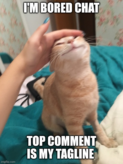 :3 | I'M BORED CHAT; TOP COMMENT IS MY TAGLINE | image tagged in cat pat | made w/ Imgflip meme maker