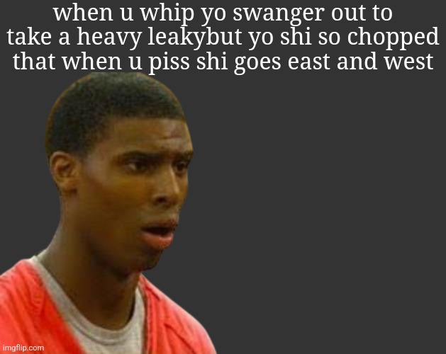 B B | when u whip yo swanger out to take a heavy leakybut yo shi so chopped that when u piss shi goes east and west | image tagged in b b | made w/ Imgflip meme maker