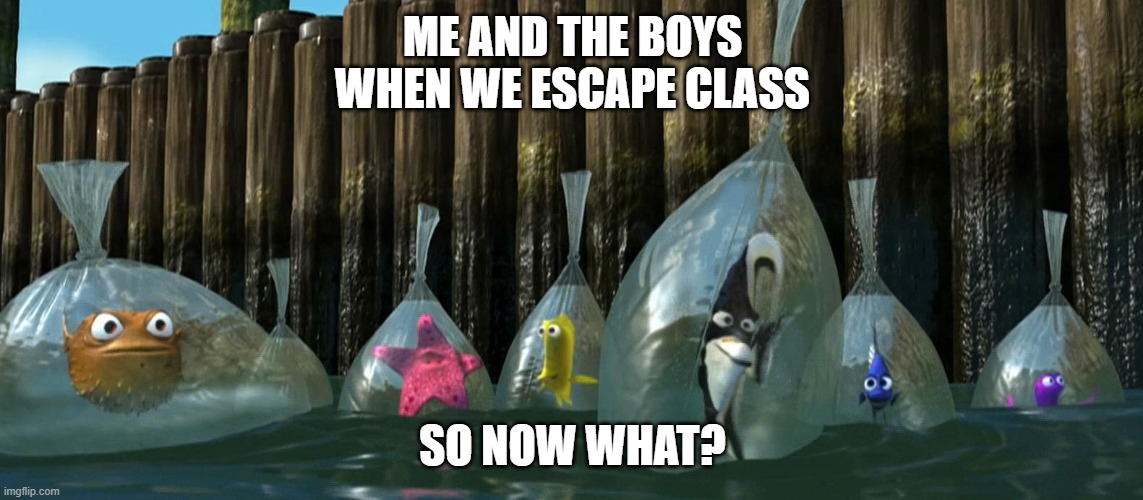 School Memes Vol. 5 | ME AND THE BOYS WHEN WE ESCAPE CLASS; SO NOW WHAT? | image tagged in now what - finding nemo,me and the boys | made w/ Imgflip meme maker