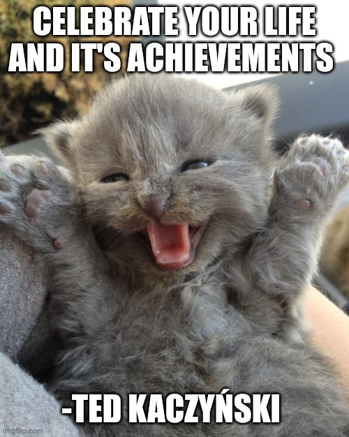 Ted is such a good person | CELEBRATE YOUR LIFE AND IT'S ACHIEVEMENTS; -TED KACZYŃSKI | image tagged in yay kitty | made w/ Imgflip meme maker