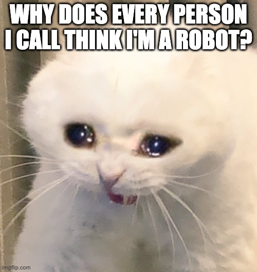 phonebanking with a perpetual customer service voice | WHY DOES EVERY PERSON I CALL THINK I'M A ROBOT? | image tagged in screaming crying cat,democracy | made w/ Imgflip meme maker