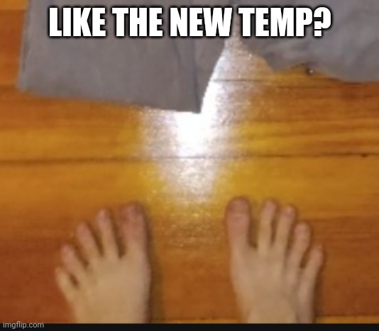 LIKE THE NEW TEMP? | image tagged in gripppers | made w/ Imgflip meme maker