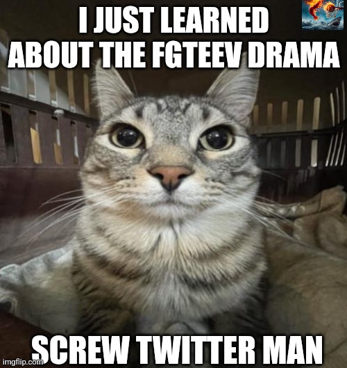 Zazu Staring | I JUST LEARNED ABOUT THE FGTEEV DRAMA; SCREW TWITTER MAN | image tagged in zazu staring | made w/ Imgflip meme maker