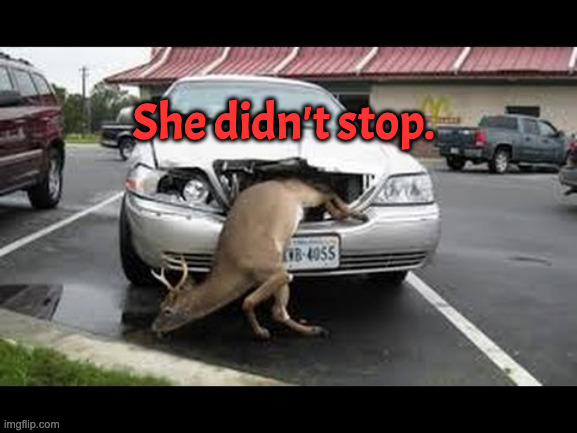 Oh dear! | She didn't stop. | image tagged in oh dear | made w/ Imgflip meme maker