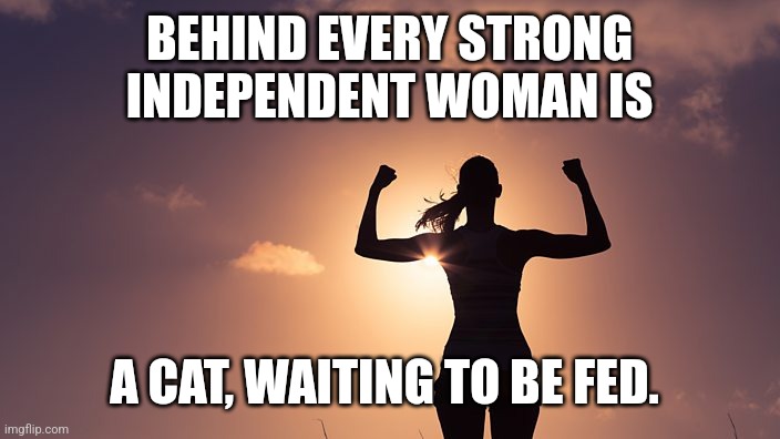 Strong Woman | BEHIND EVERY STRONG INDEPENDENT WOMAN IS; A CAT, WAITING TO BE FED. | image tagged in strong woman | made w/ Imgflip meme maker