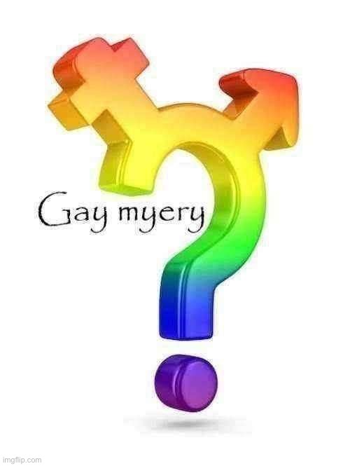 gay myery | image tagged in lmao | made w/ Imgflip meme maker